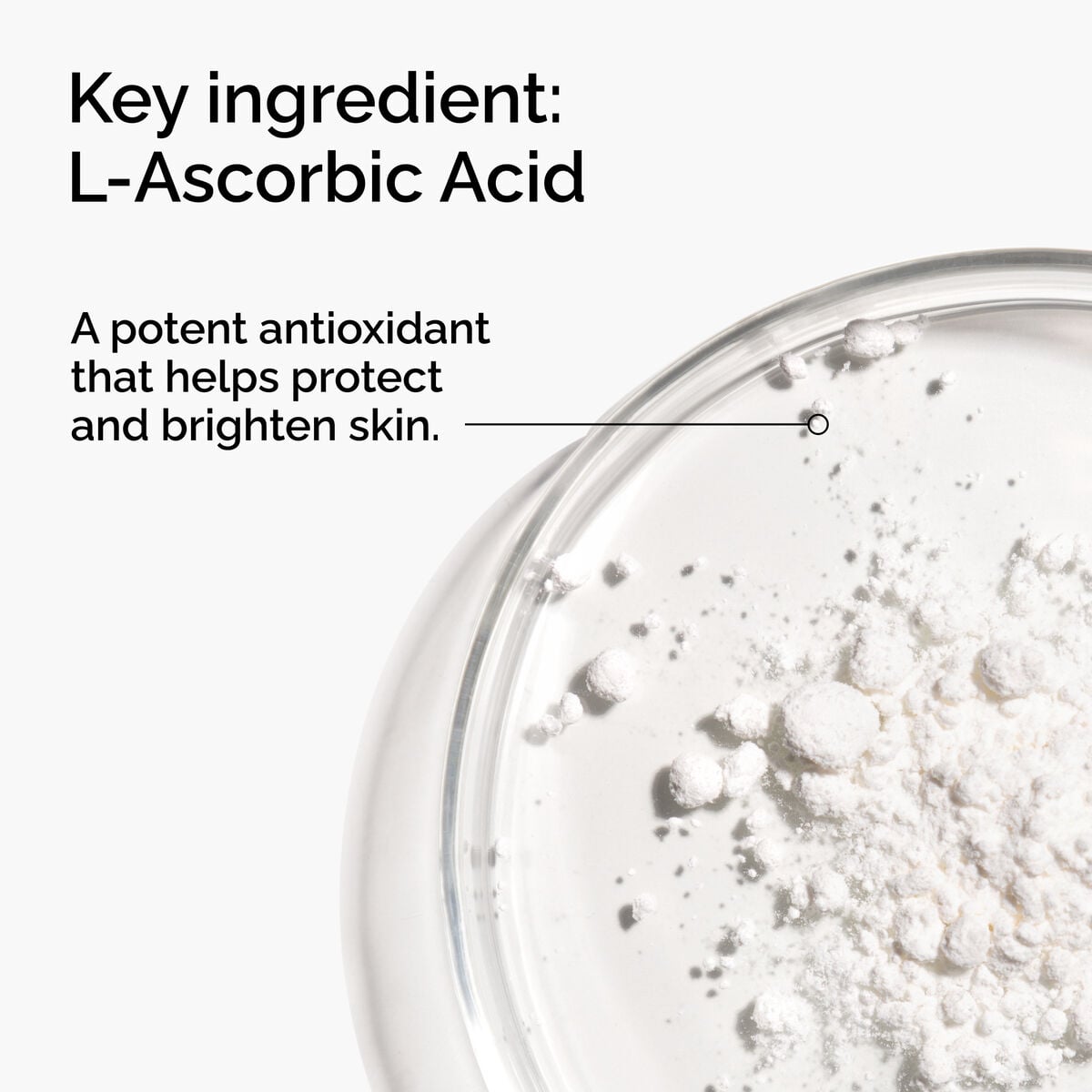 100-l-ascorbic-acid-powder-l2 FY25-D41247-ORD-Web-PDP-100-LAscb-Pwd-1x1-EN-2a.jpg
