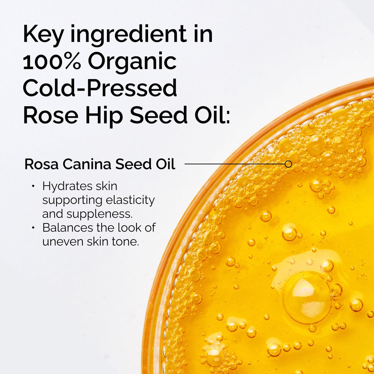 100-organic-cold-pressed-rose-hip-seed-oil-x6 FY25-D41247-ORD-Web-PDP-100-Rose-Hip-Oil-1x1-EN-2.jpg