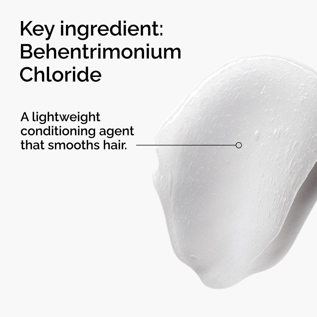 behentrimonium-chloride-2-conditioner-d6 FY25-D41247-ORD-Web-PDP-BTC-1x1-EN-2a.jpg