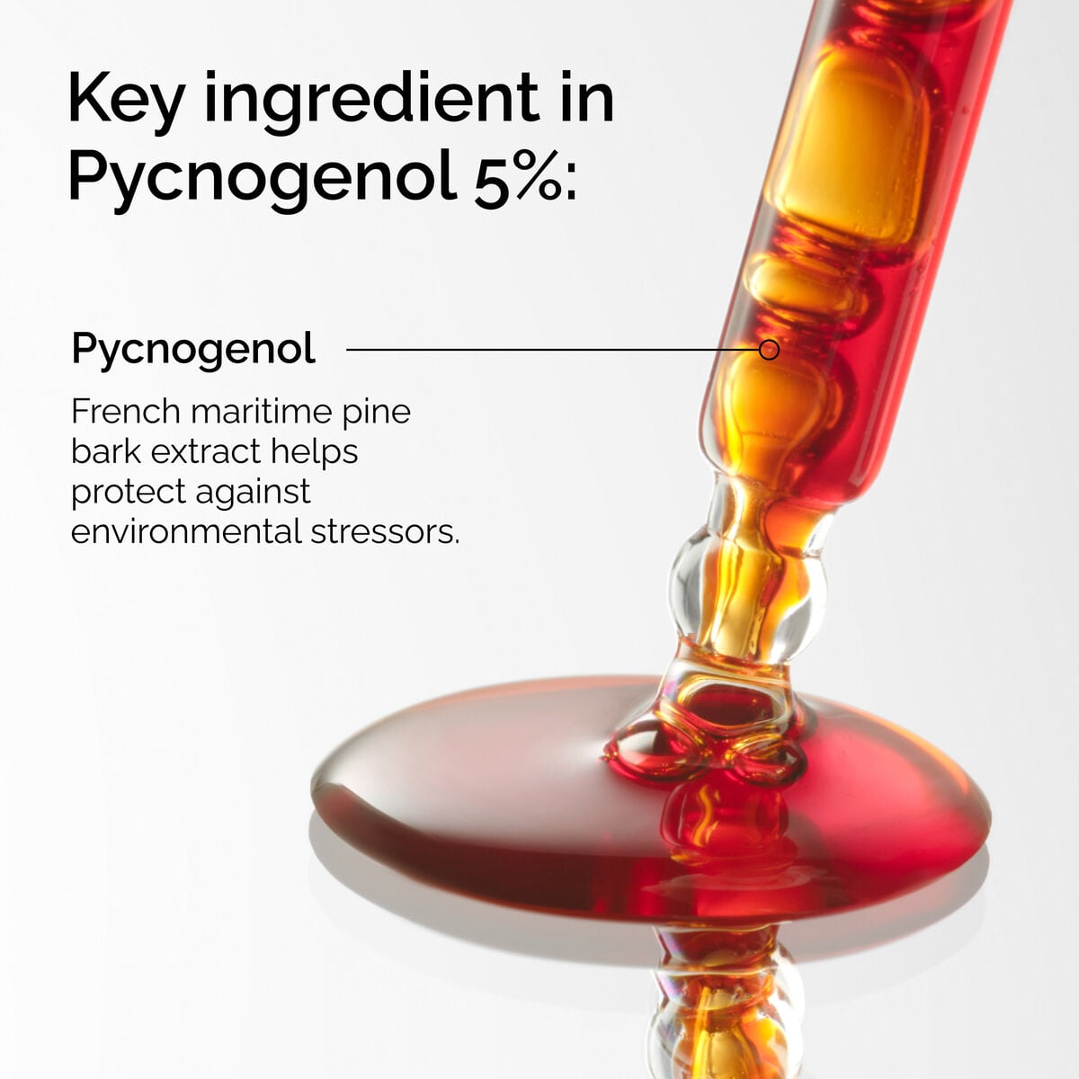 pycnogenol-5-p0 FY25-D41247-ORD-Web-PDP-Pyc-5pct-1x1-EN-2a.jpg