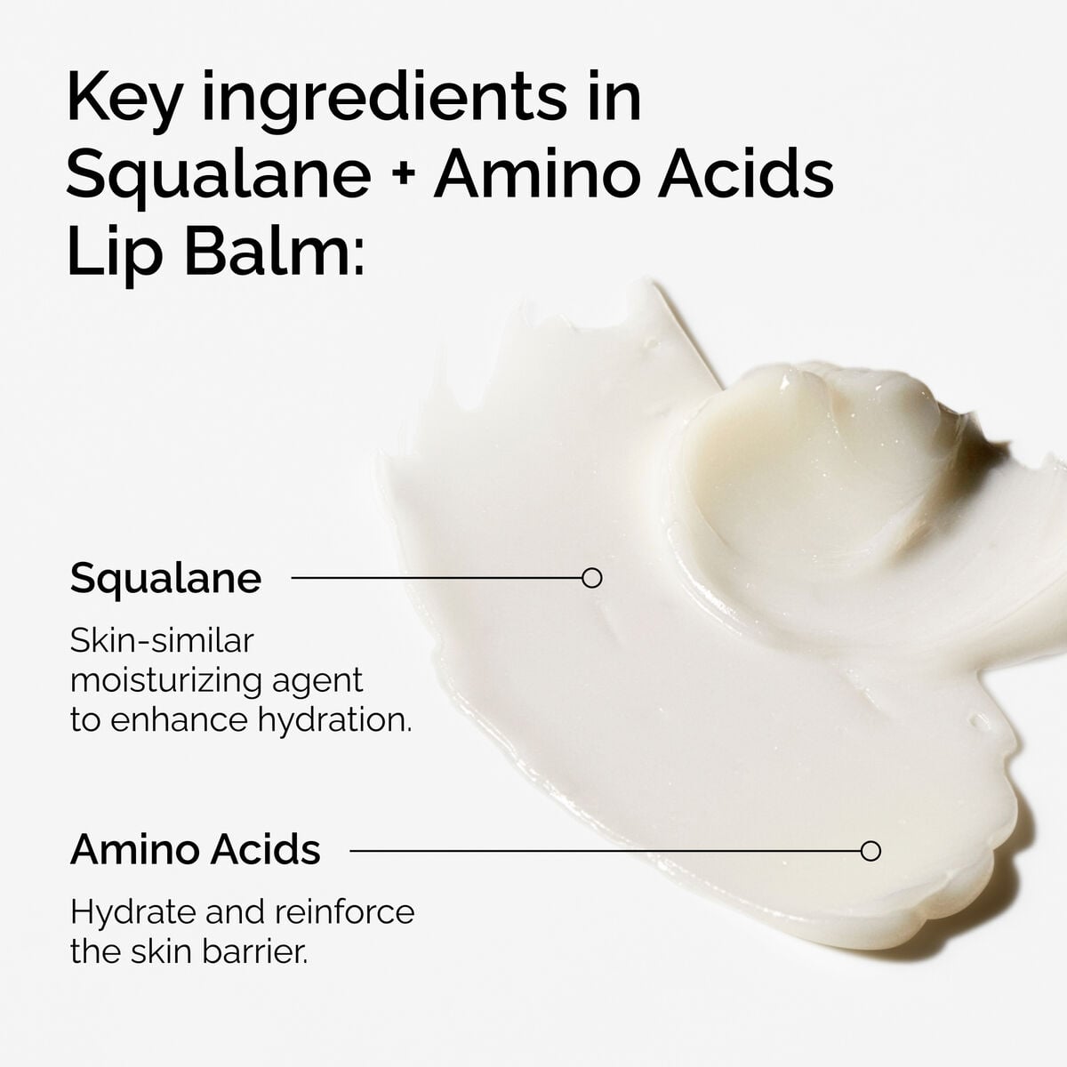 squalane-amino-acids-lip-balm-x6 FY25-D41247-ORD-Web-PDP-Sql-Amino-Lip-1x1-EN-2a.jpg