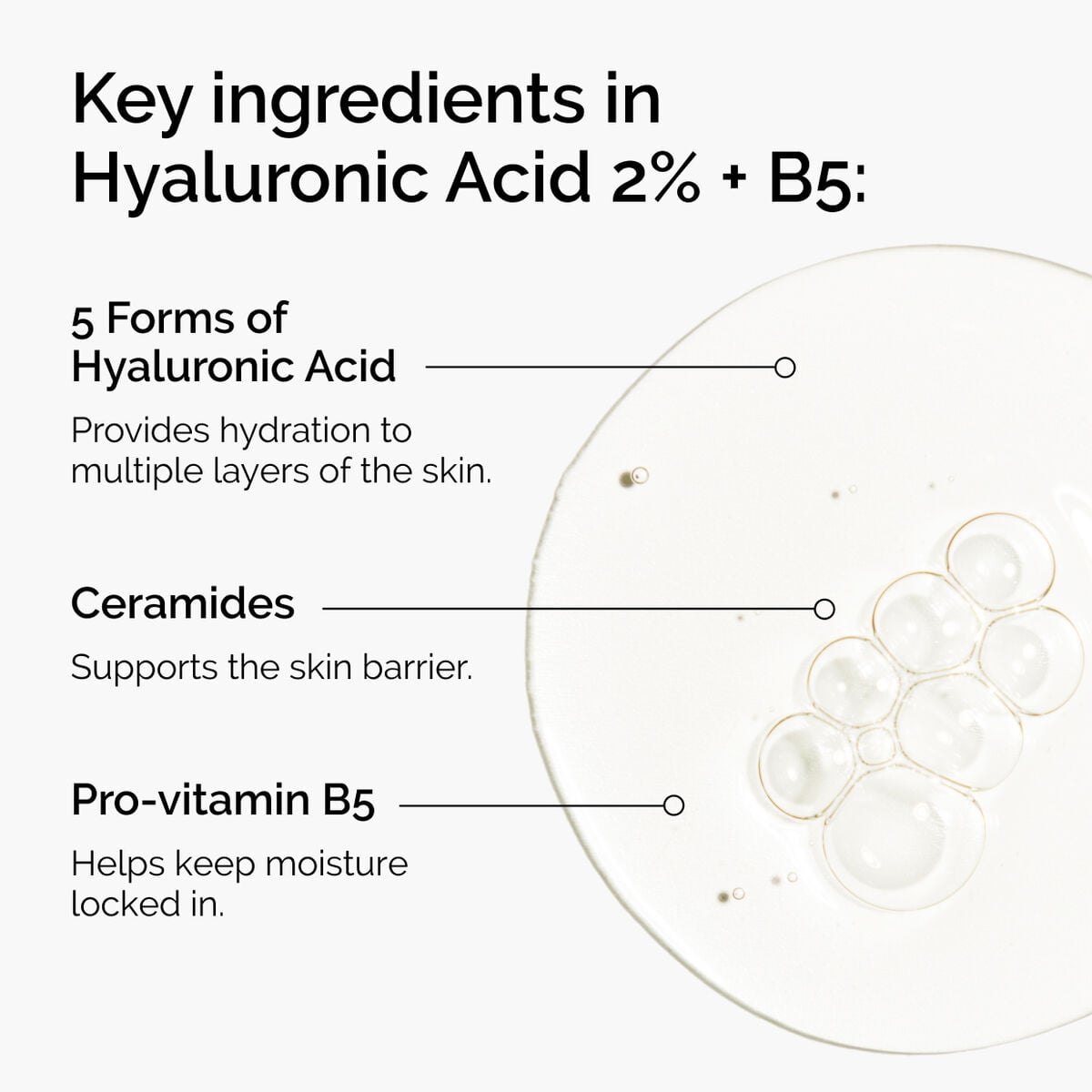 hyaluronic-acid-2-b5-with-ceramides-s5 ord-hyaluronic-acid-2pct-b5-hydrating-serum-ingredients-graphic.jpg