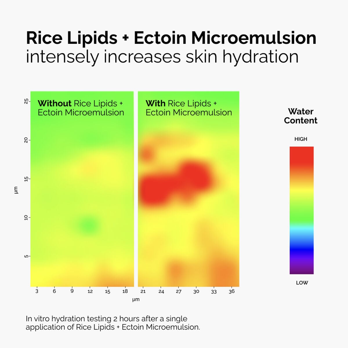rice-lipids-ectoin-microemulsion-u4 ord-rice-lipids-ectoin-microemulsion-thermal-before-after.jpg